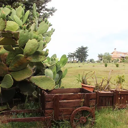 Guest House Villa Di Judighes Cerveteri