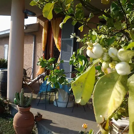 Guest House Villa Di Judighes Guest house *