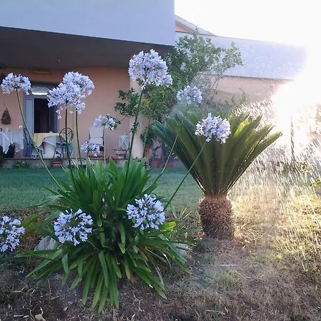 Guest house Guest House Villa Di Judighes